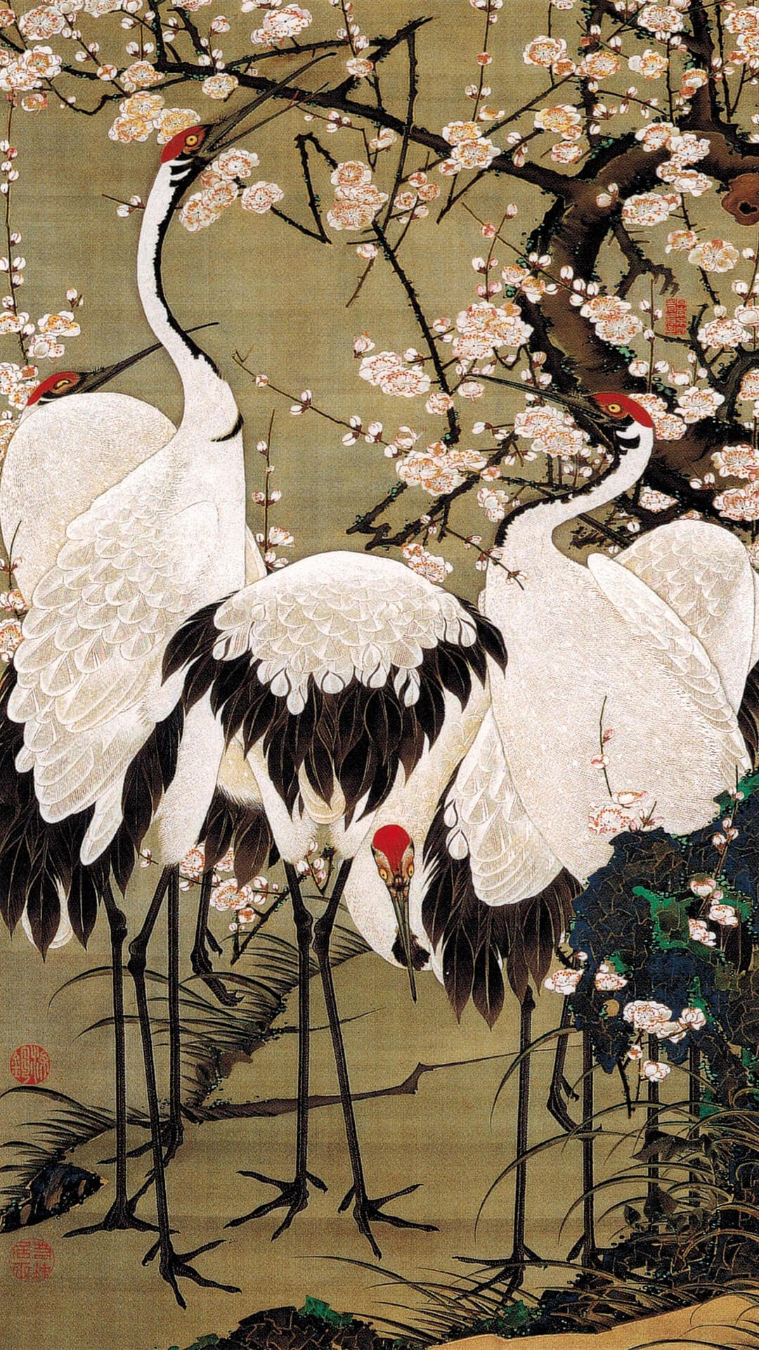 伊藤若冲 動植綵絵 の内 梅花群鶏図 壁紙ギャラリー Kagirohi